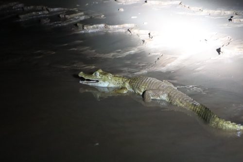IMG_1740 IMG_1740